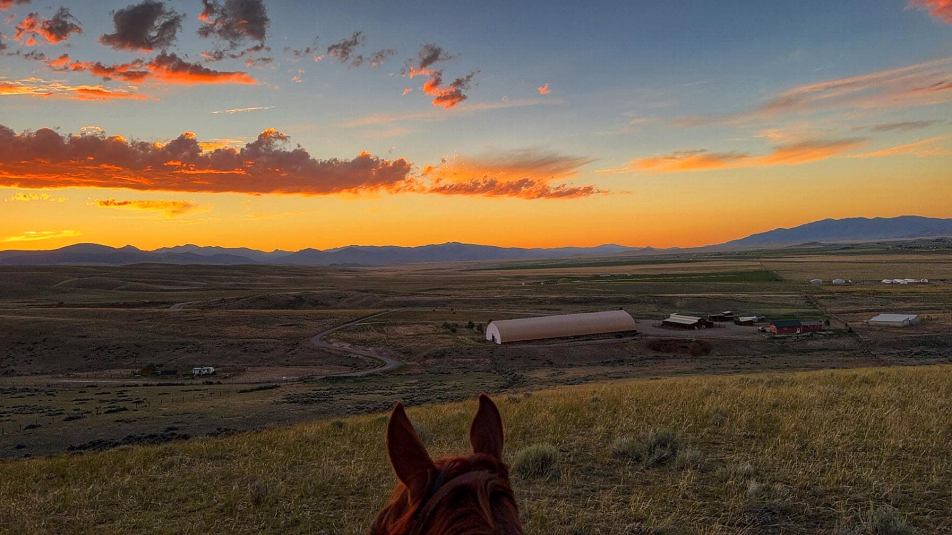 views montana oliver performance horse facility