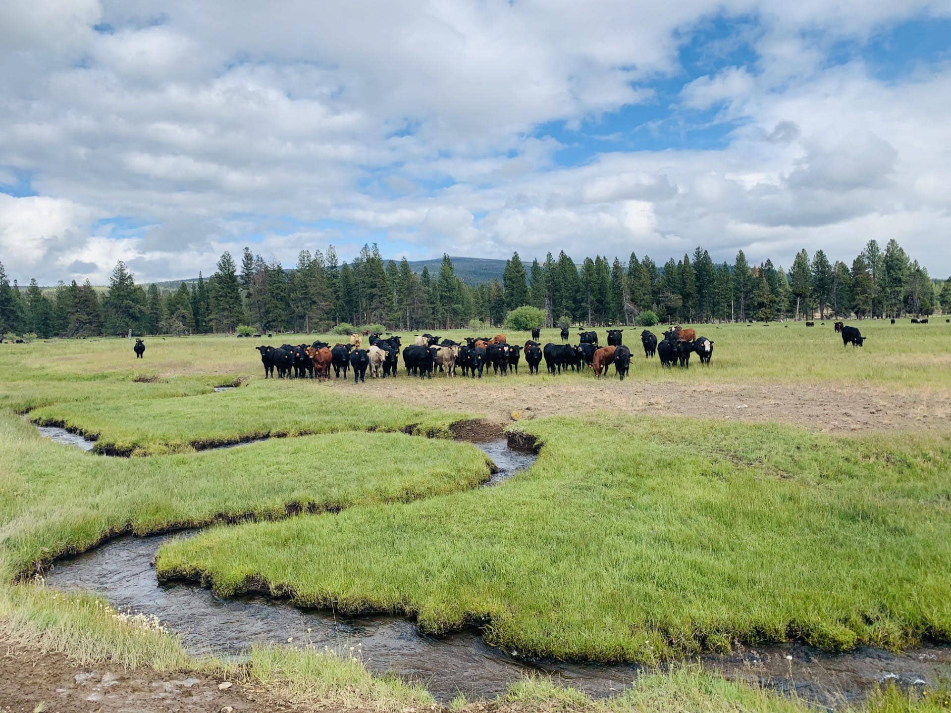 waterfront property for sale oregon jackson creek ranch