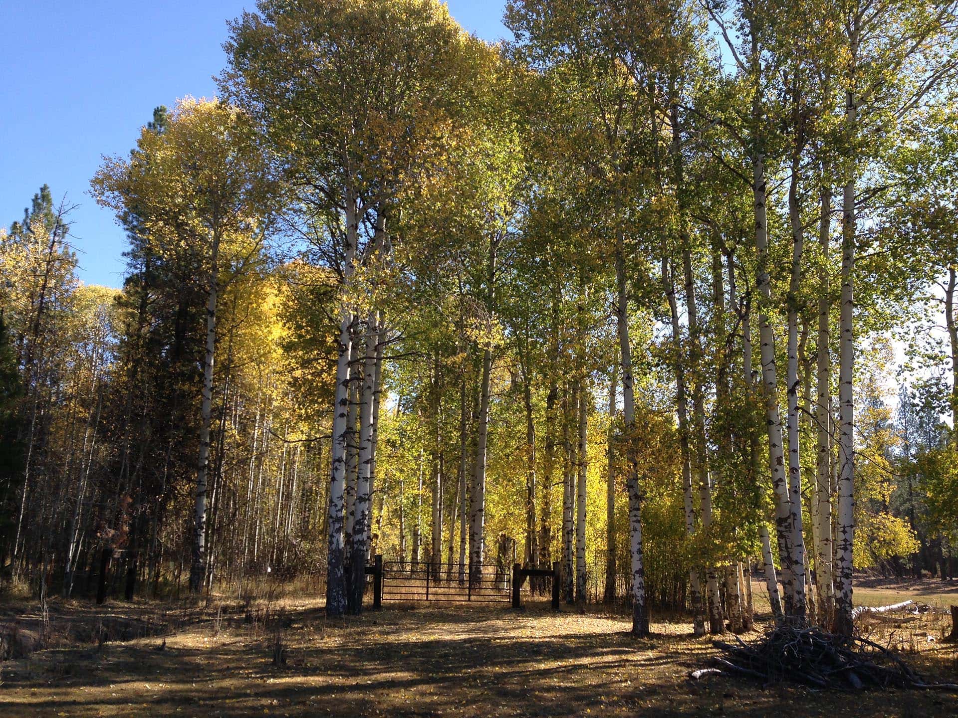 waterfront ranch for sale oregon jackson creek ranch