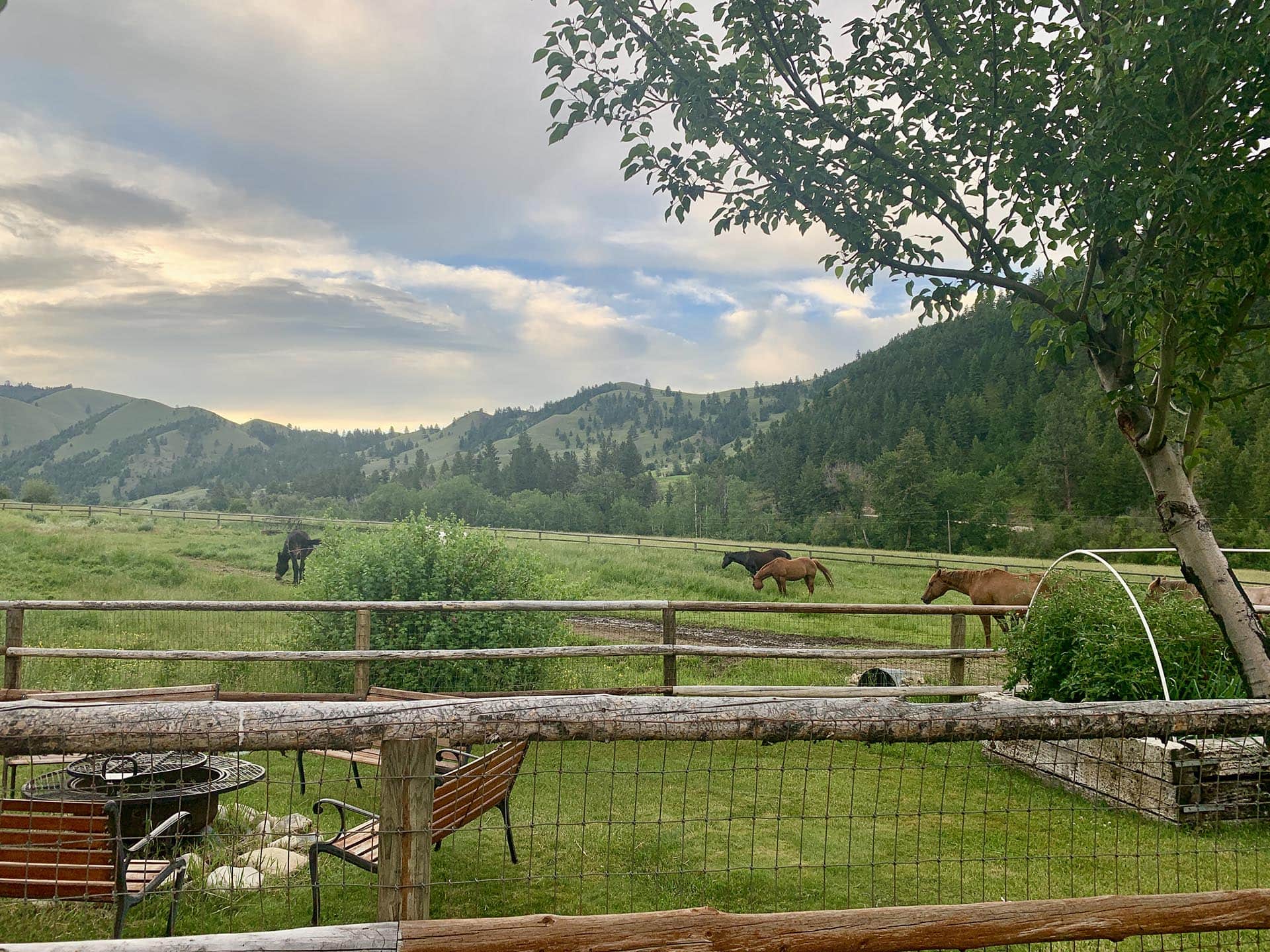 Equine Heaven Idaho North Mountain Ranch