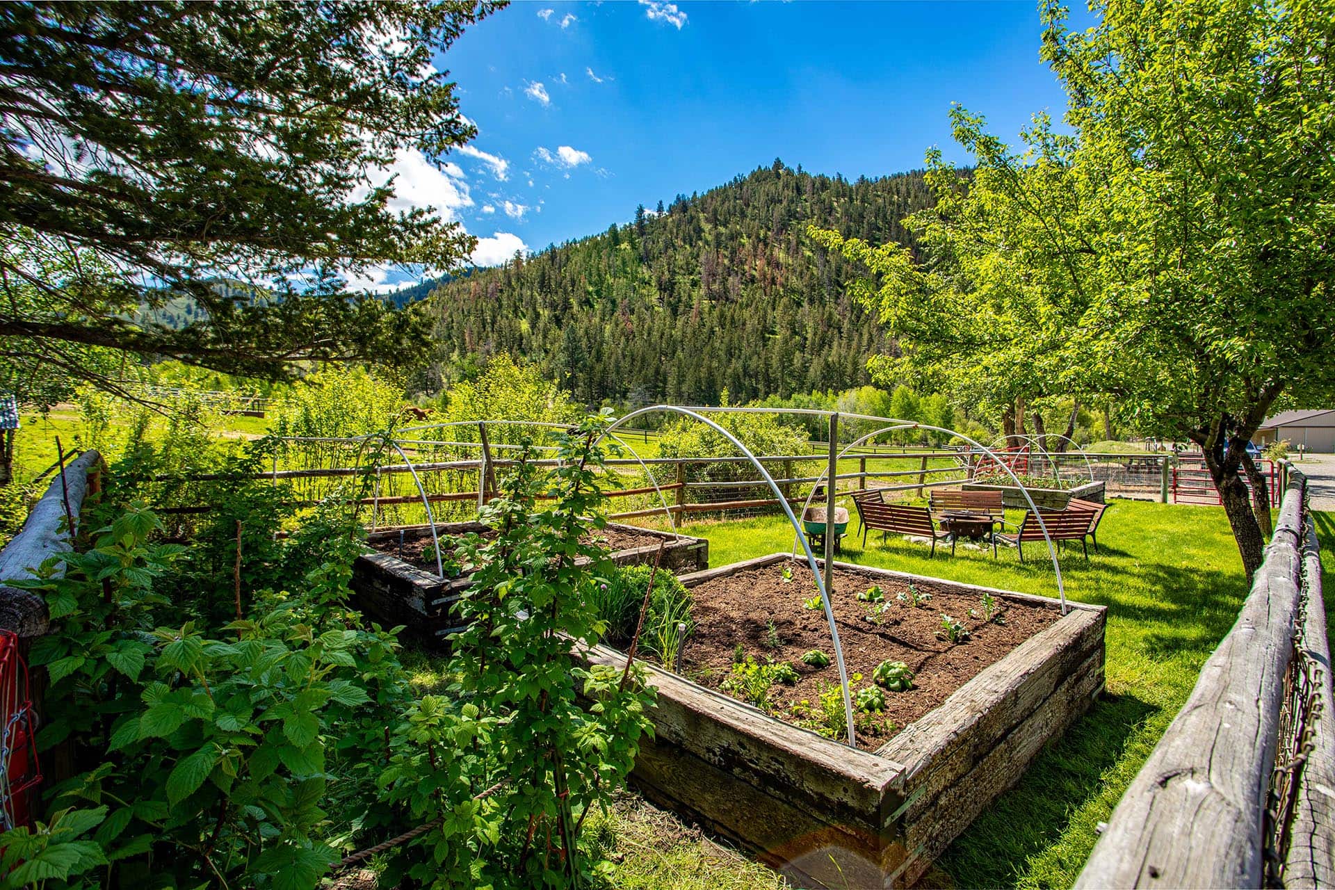 Fruit Tree Garden Idaho North Mountain Ranch