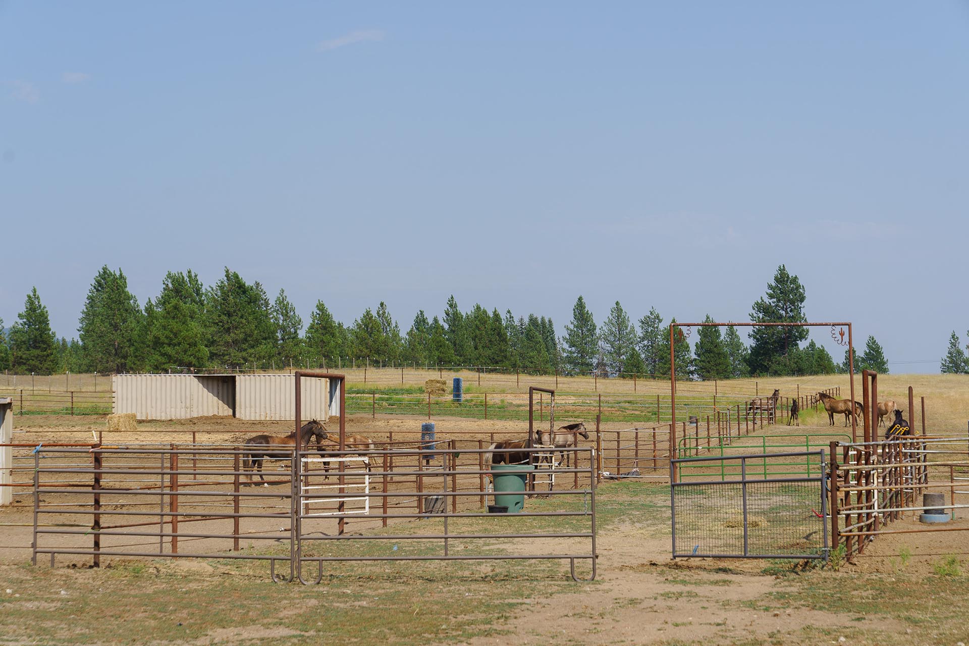 Large Outdoor Paddocks Eastern Washington Shadow Ridge Stable