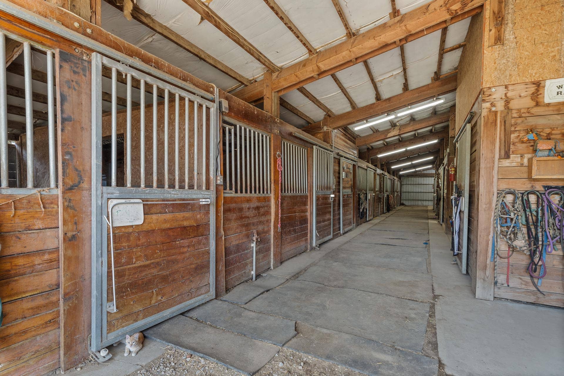 Large stalls with runs Eastern Washington Shadow Ridge Stable