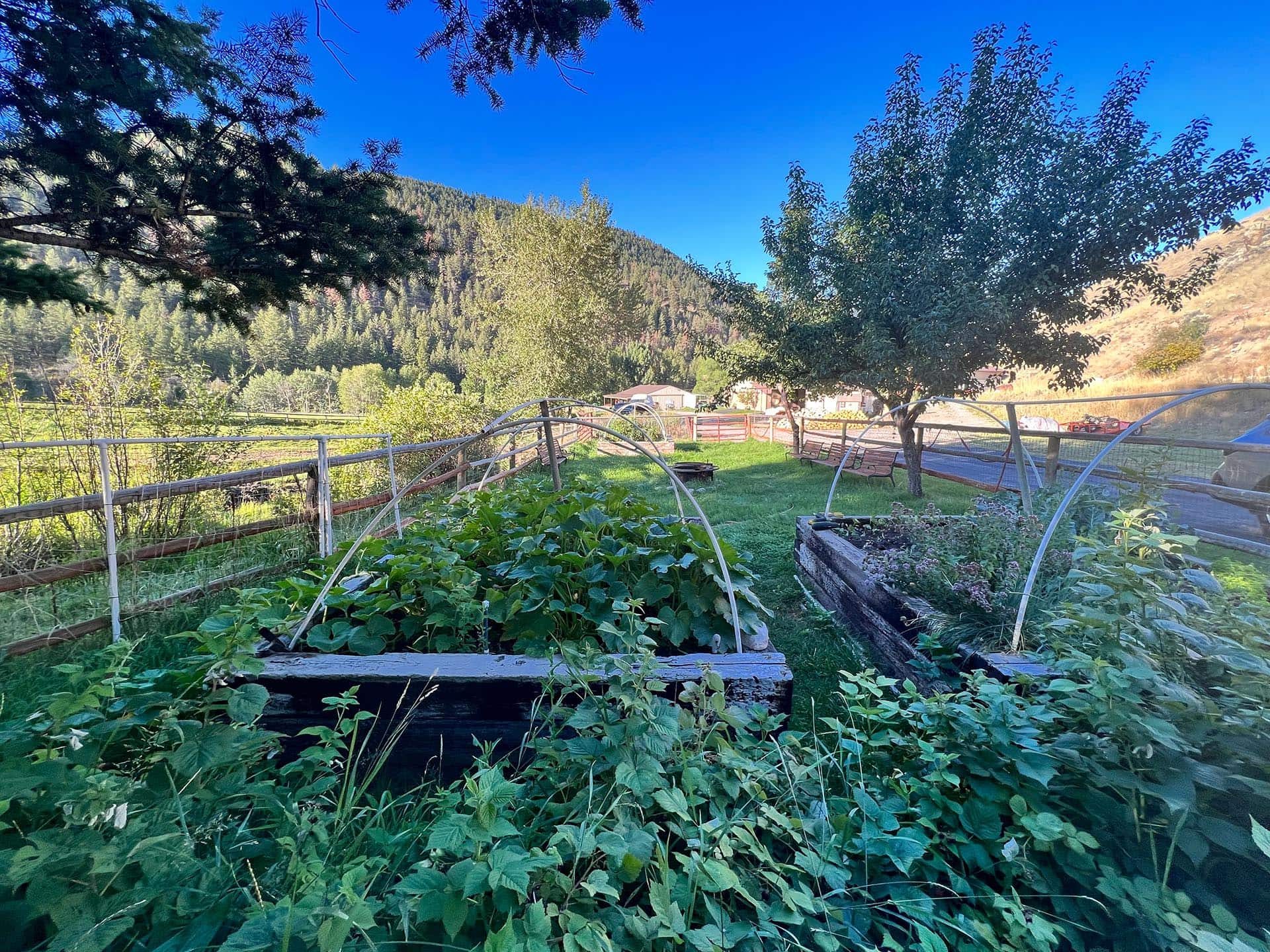 Lush Garden Idaho North Mountain Ranch