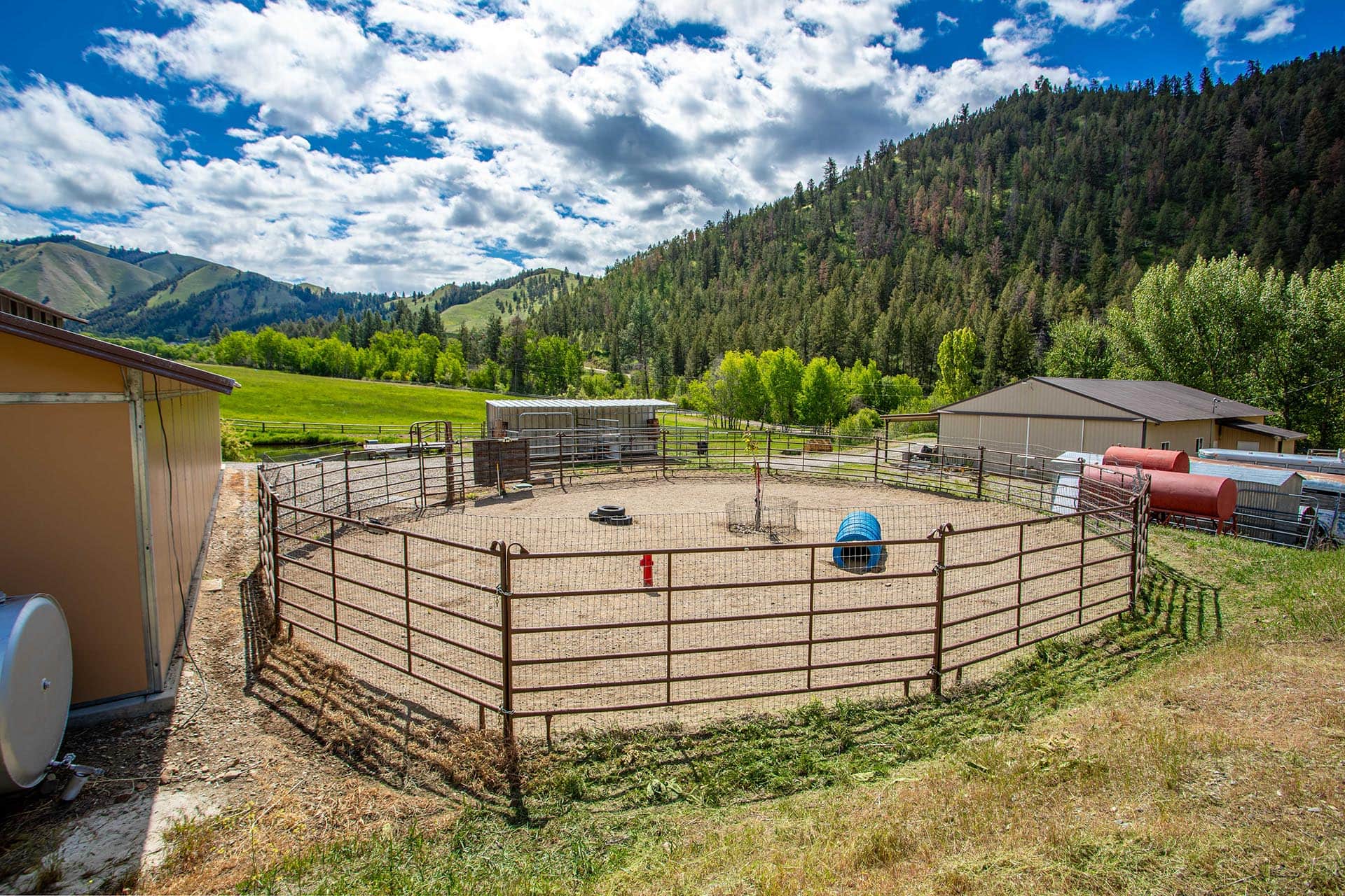 Mountain Horse Training Idaho North Mountain Ranch