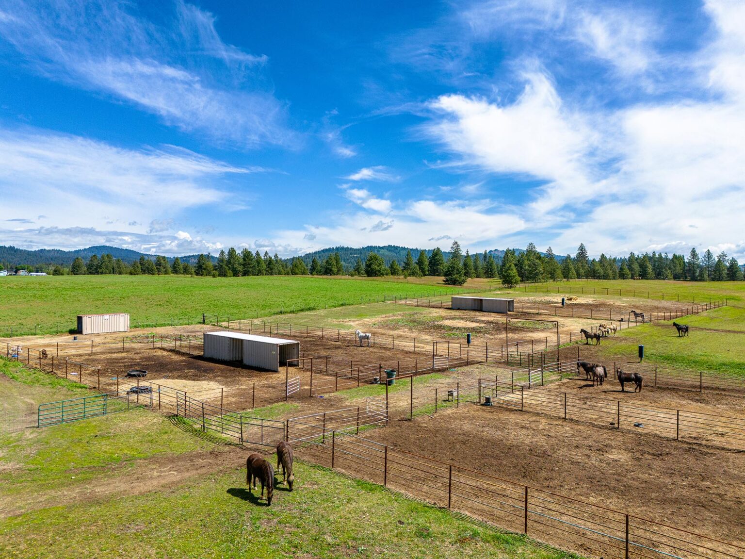 Shadow Ridge Stables | Elk Washington | Fay Ranches