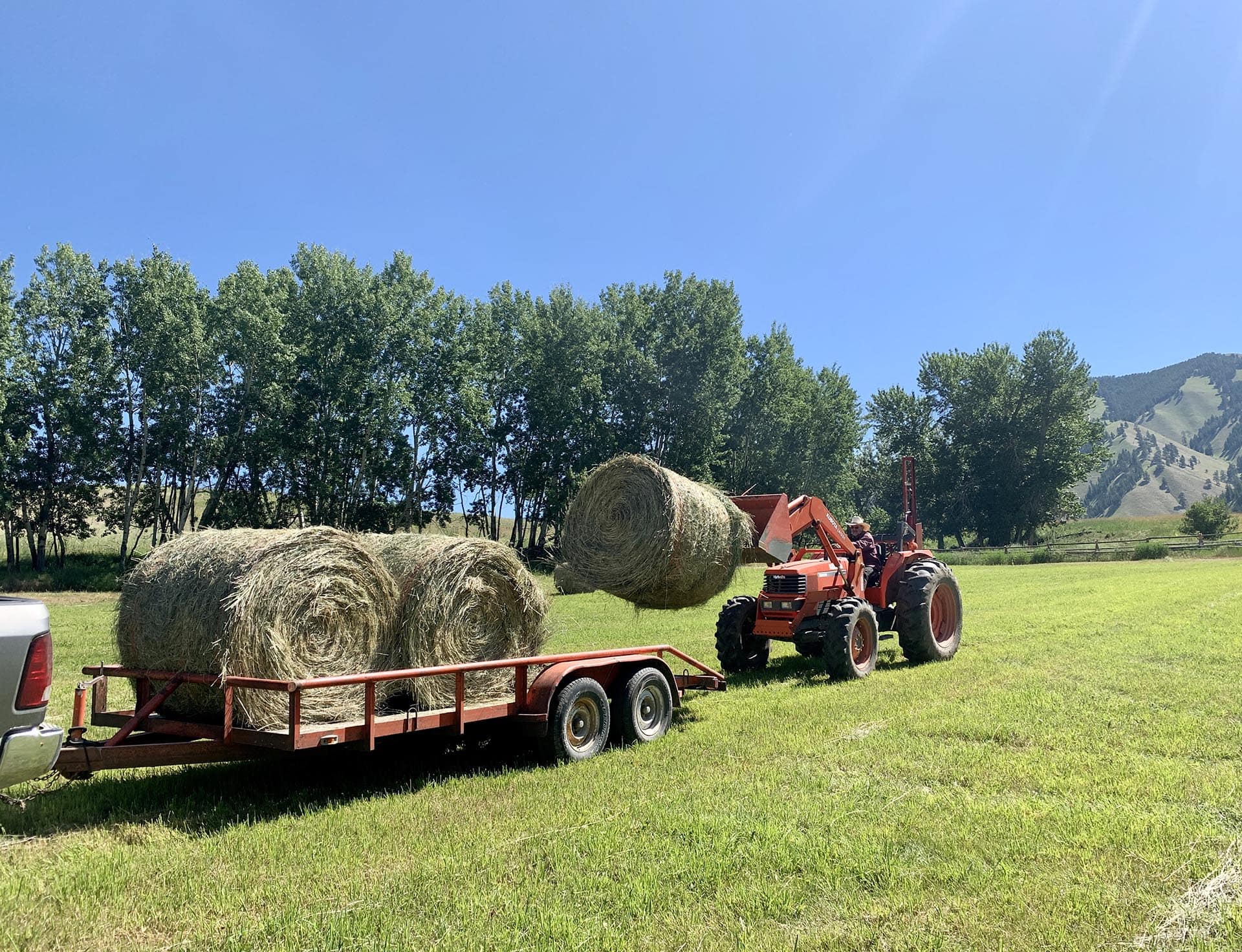 Quality Alfalfa Idaho North Mountain Ranch