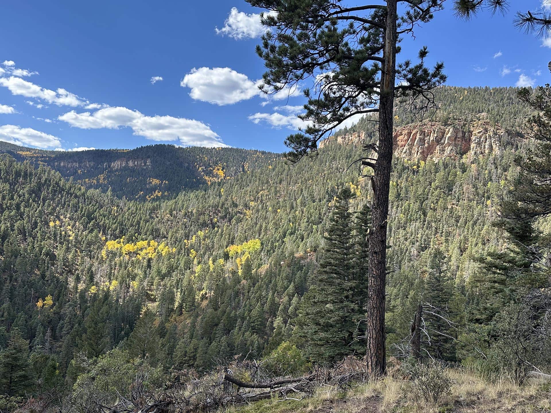 clouds new mexico manueles creek
