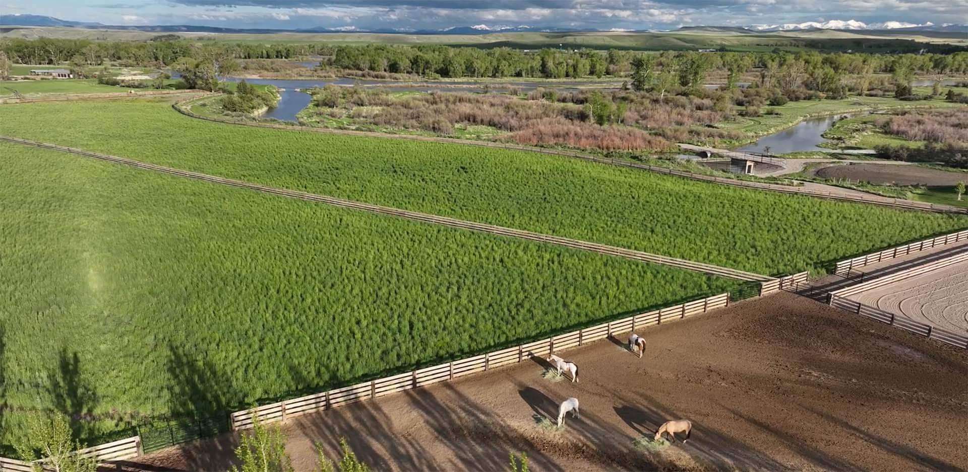 equestrian facilities 1805 river ranch