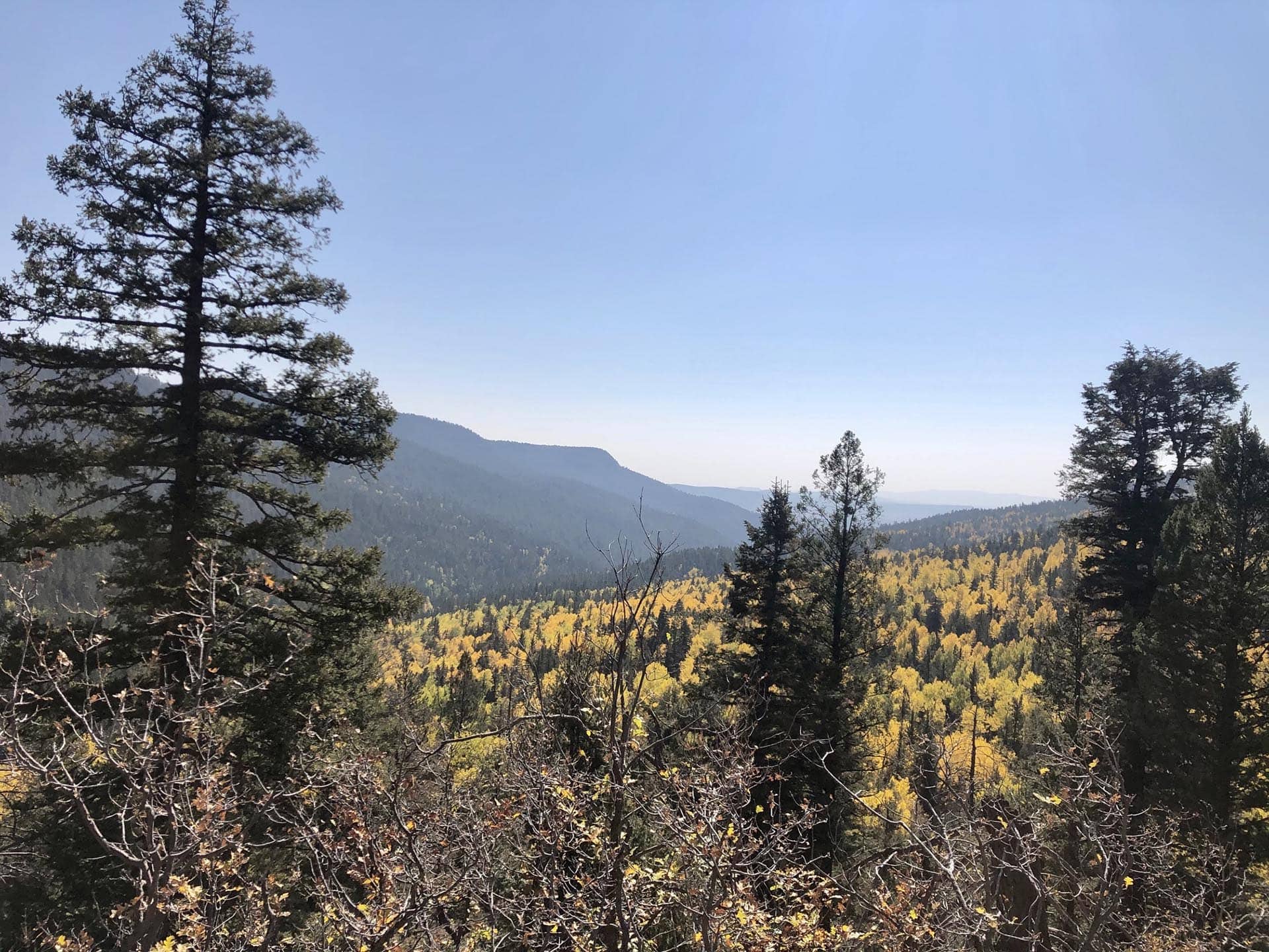 fall foliage new mexico manueles creek