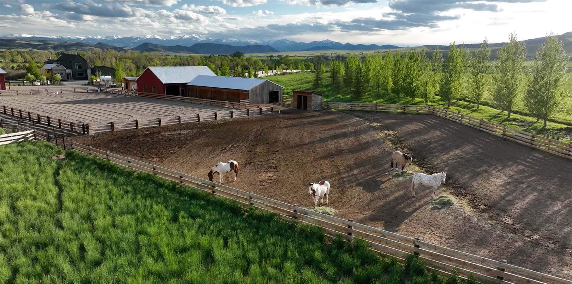 horses on pasture montana 1805 river ranch
