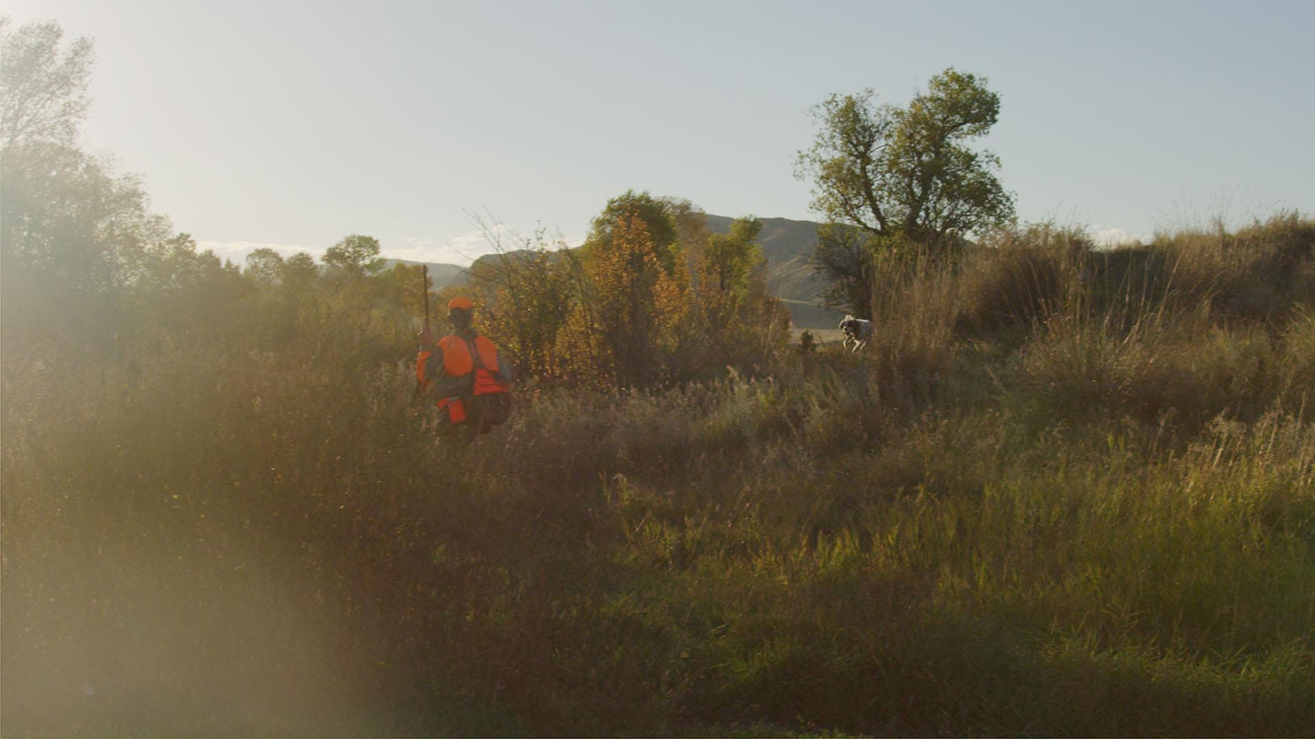 hunting wildlife montana 1805 river ranch