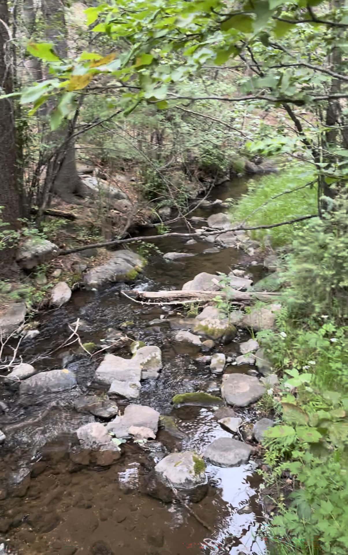 manueles creek new mexico creek