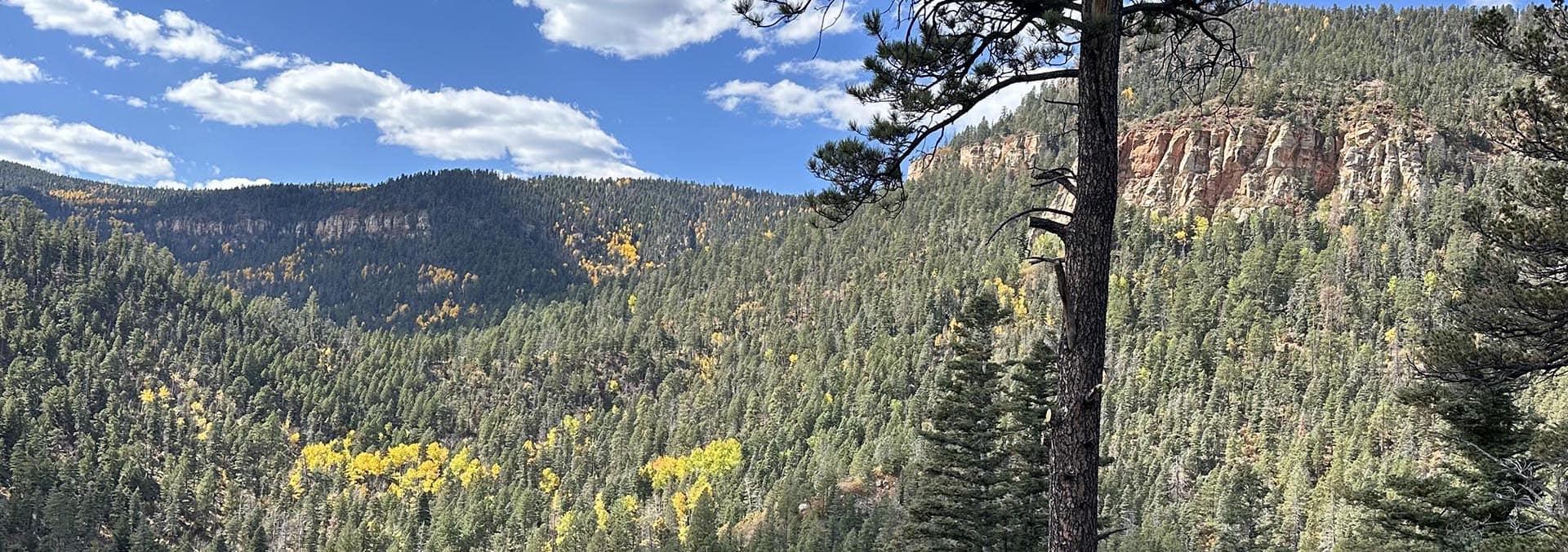 new mexico land for sale manueles creek