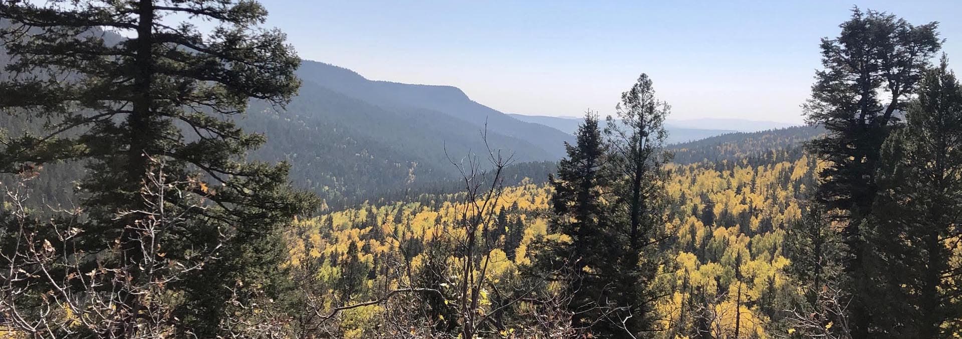 new mexico property for sale manueles creek