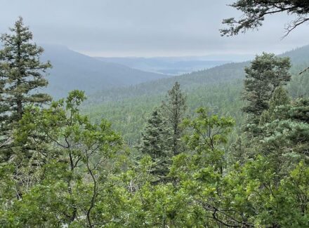 new mexico ranches for sale manueles creek