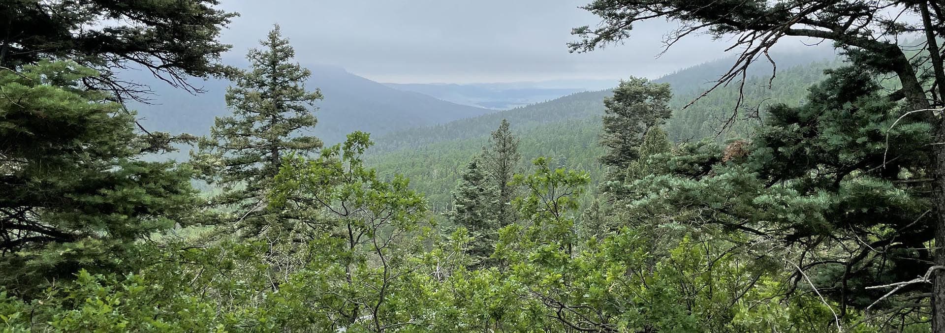 new mexico ranches for sale manueles creek