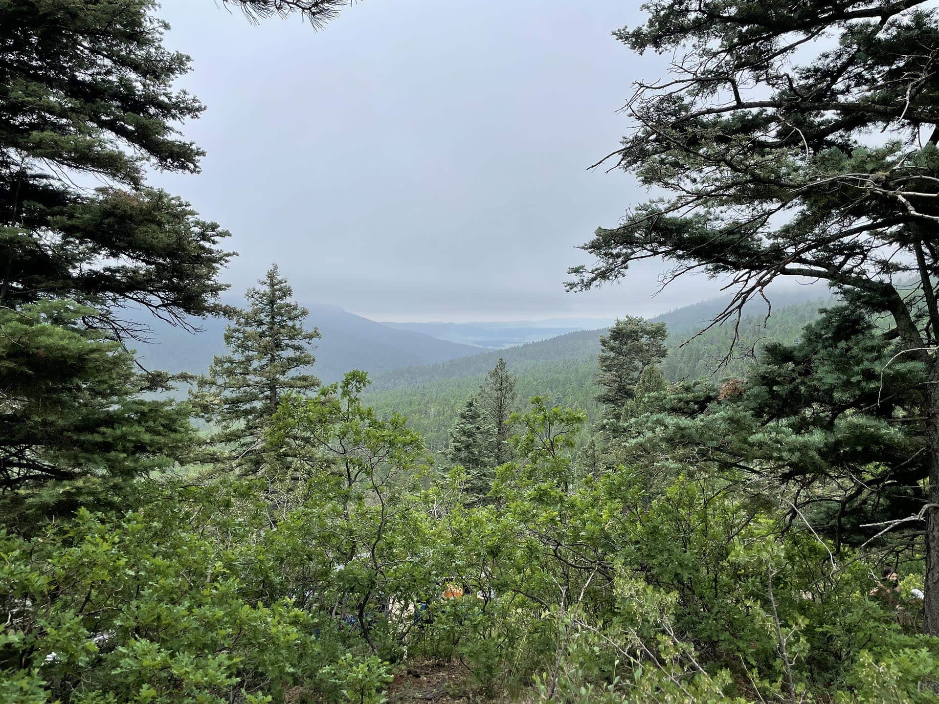 rain new mexico manueles creek