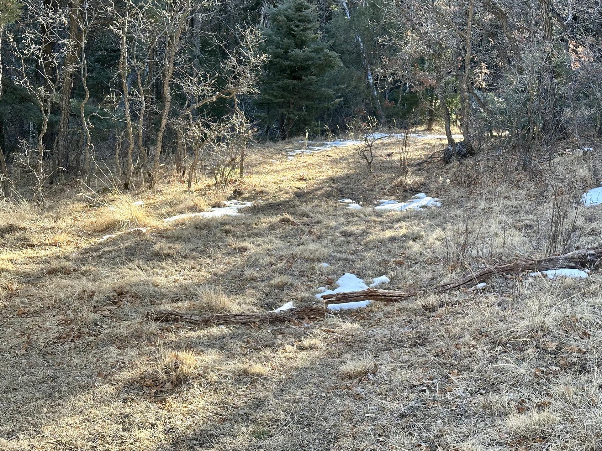 snow new mexico manueles creek