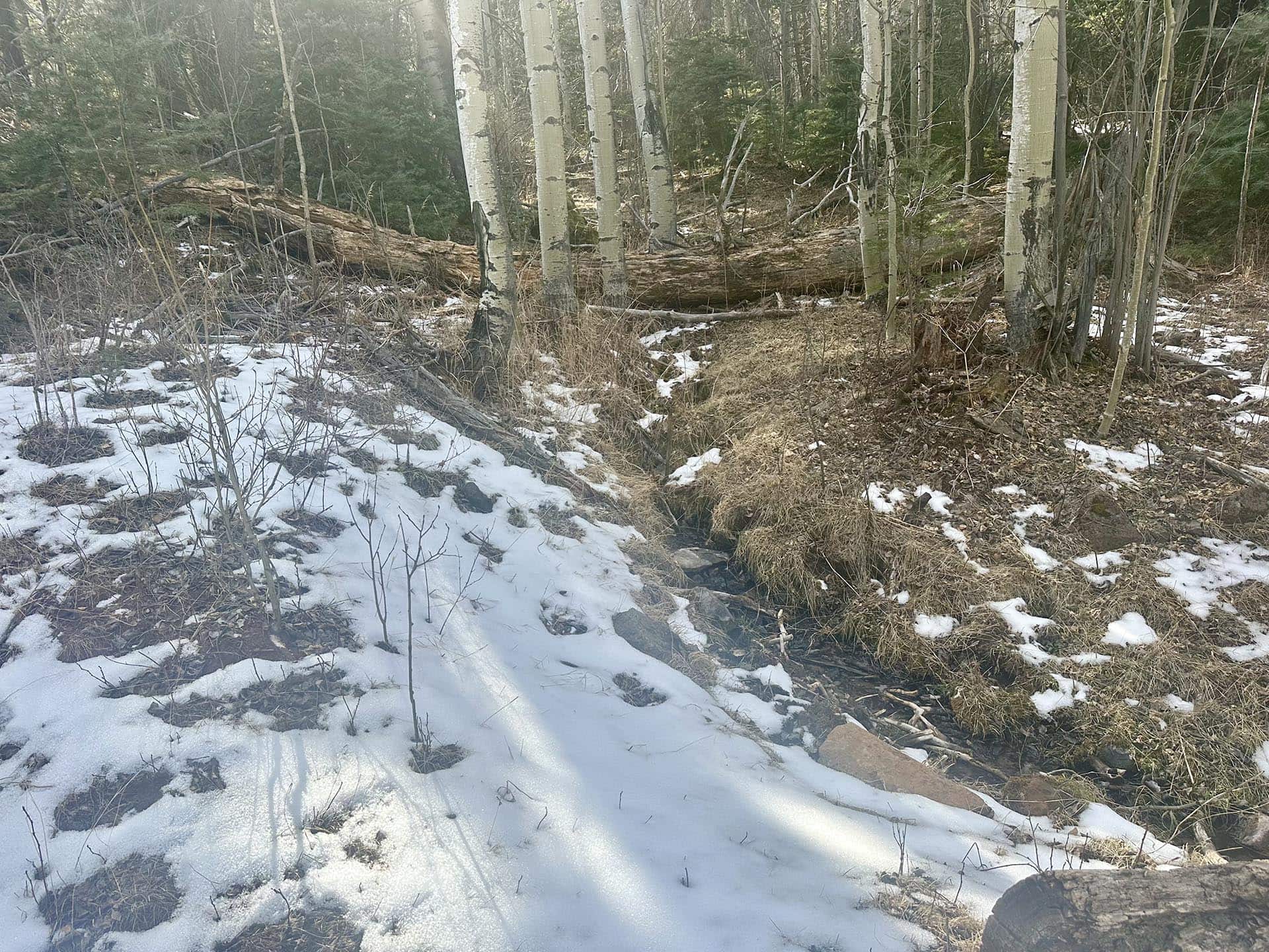 snowy new mexico manueles creek