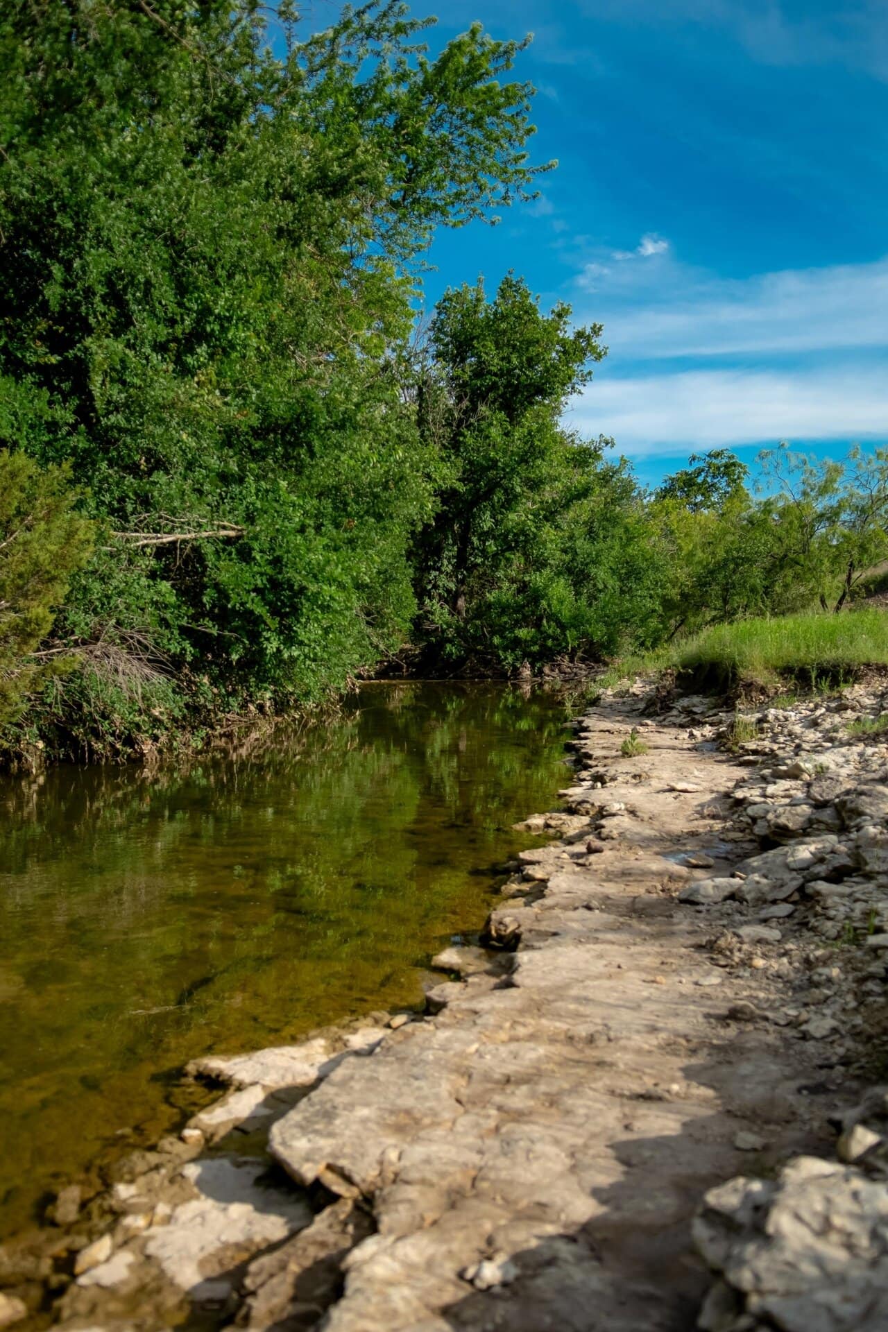 Affordable ranch land for sale in North Texas Cotton Willow Ranch