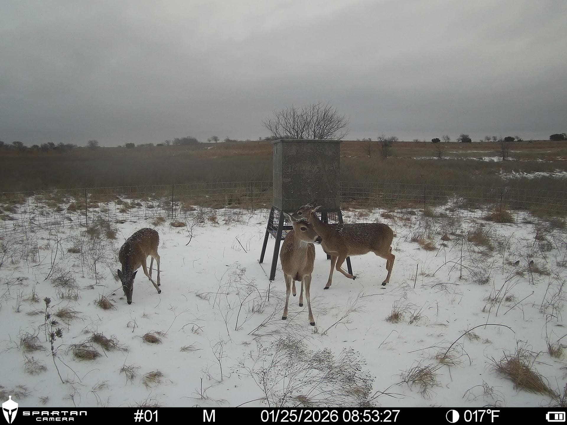 best recreational ranch for sale in the texas blackland prairie cotton willow ranch