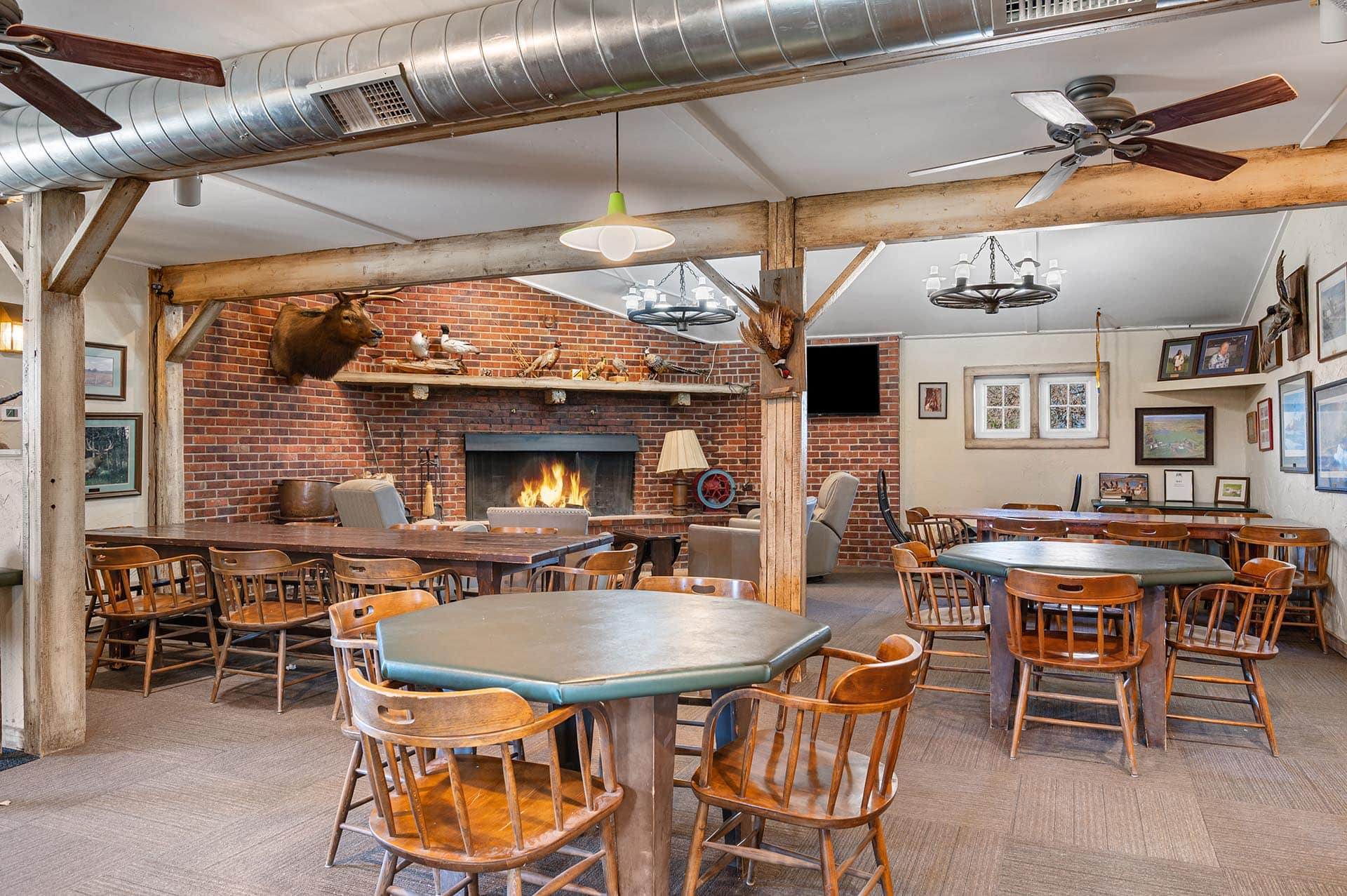 Bird Hunting Property Colorado Stillroven Farm Pheasant & Kennel Club