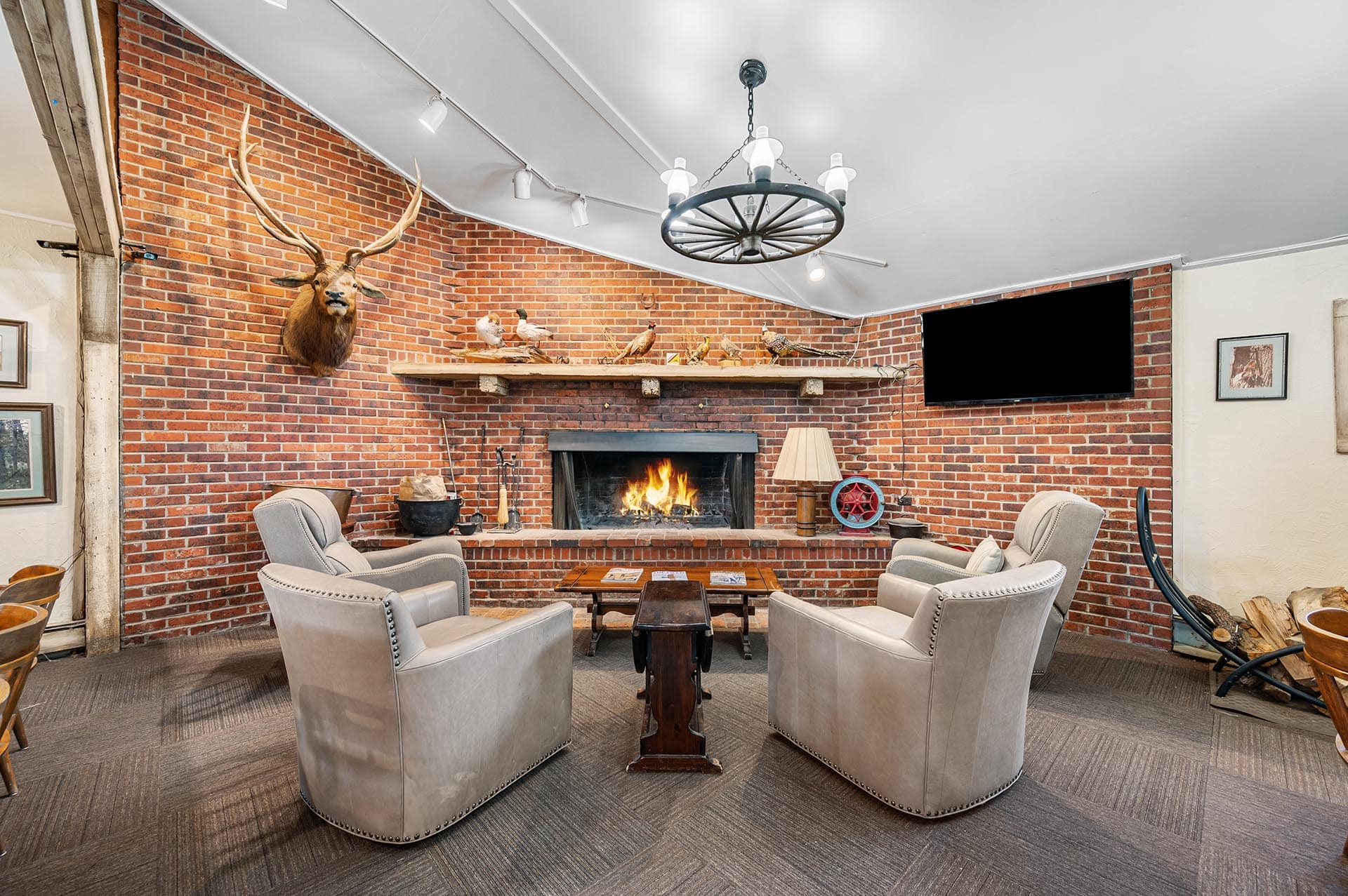 Bird Hunting Property For Sale Colorado Stillroven Farm Pheasant & Kennel Club