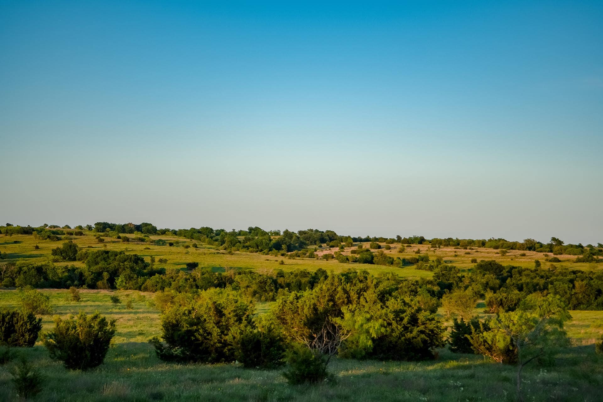 Blackland Prairie ranch with scenic views Texas Cotton Willow Ranch