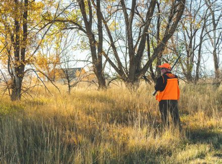 Colorado hunting property for sale Stillroven Farm Pheasant & Kennel Club