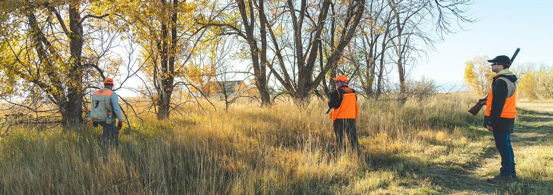 Colorado hunting property for sale Stillroven Farm Pheasant & Kennel Club