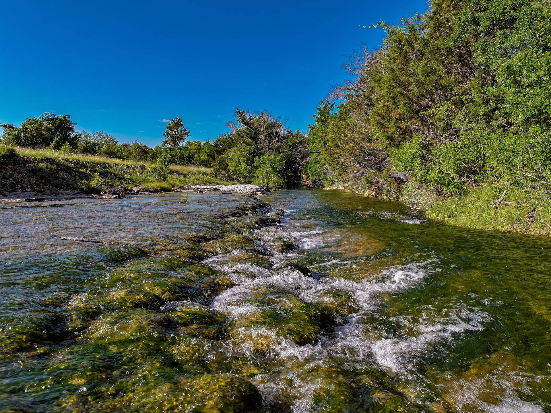 Cotton Willow Ranch Texas land for sale