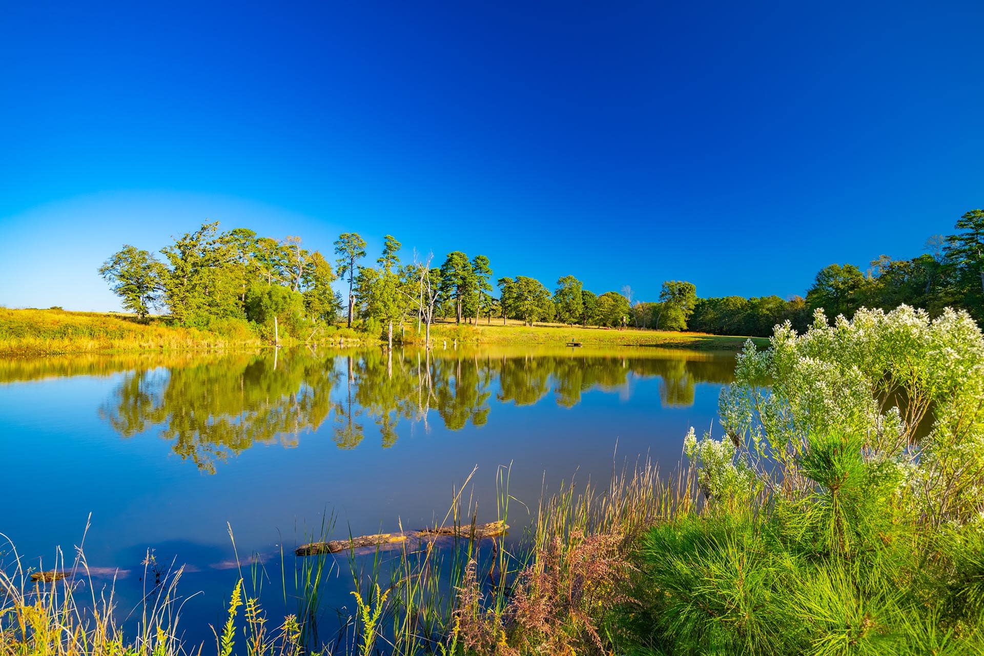 East Texas lake ranch with dock access Red Barn Ranch on Lake Bob Sandlin