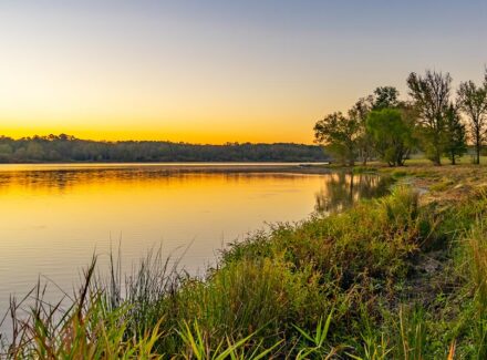 East Texas property for sale Red Barn Ranch on Lake Bob Sandlin