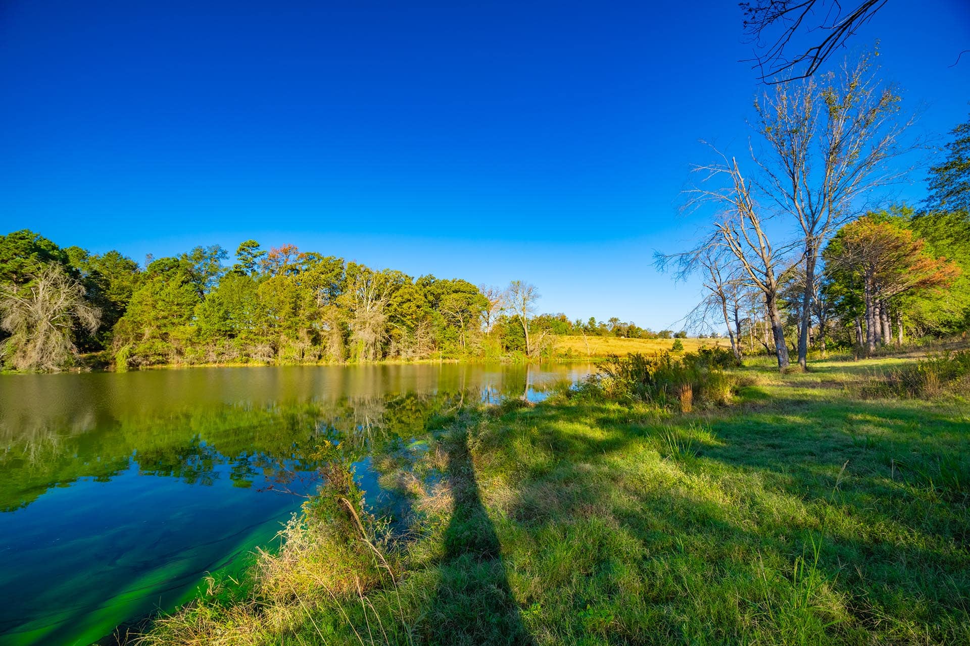 East Texas ranch land with lake improvements Red Barn Ranch on Lake Bob Sandlin