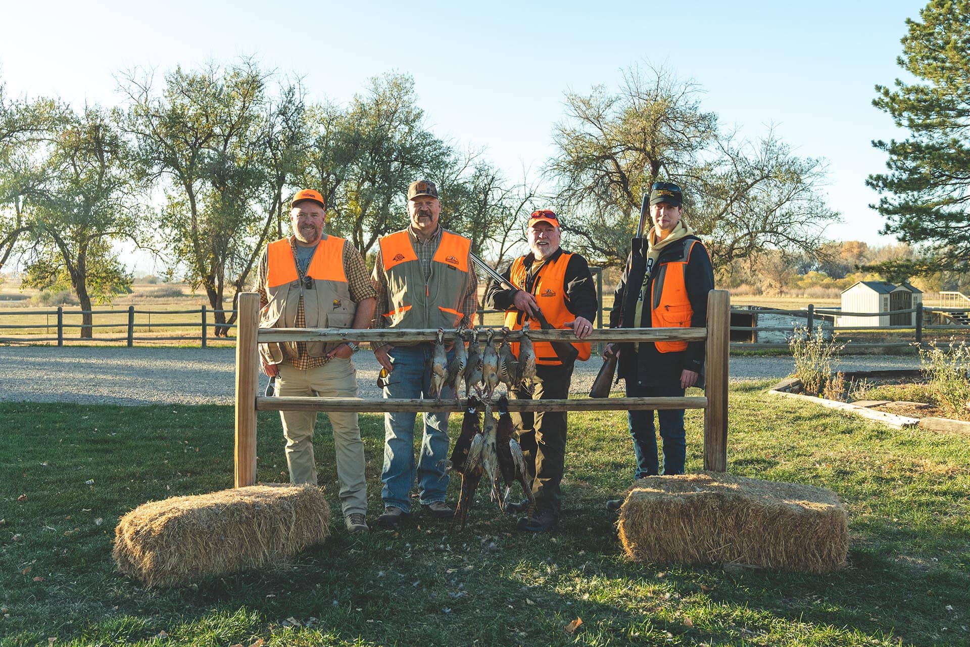 Farm For Sale Nearby Colorado Stillroven Farm Pheasant & Kennel Club