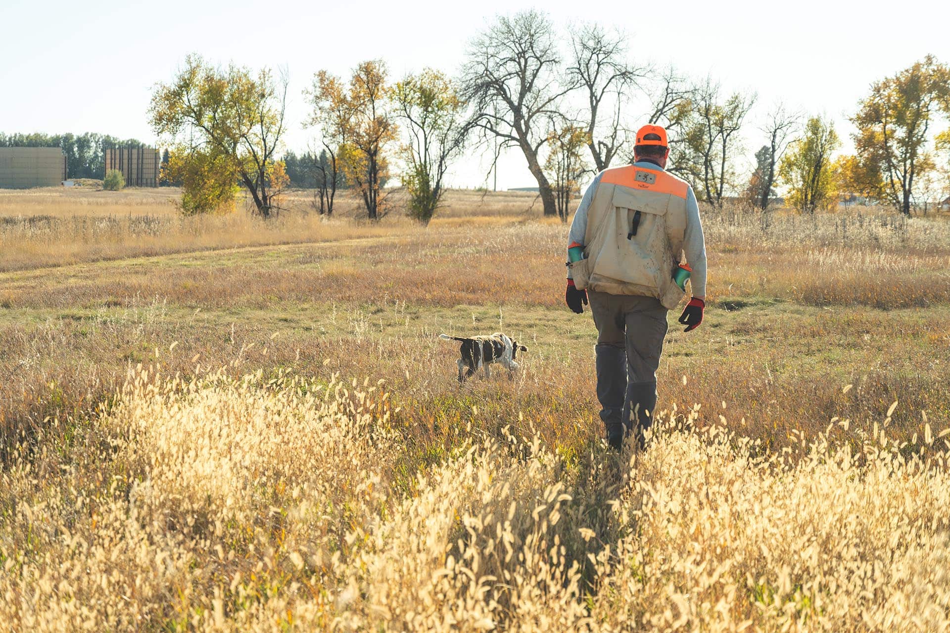Farmland For Sale Nearby Colorado Stillroven Farm Pheasant & Kennel Club