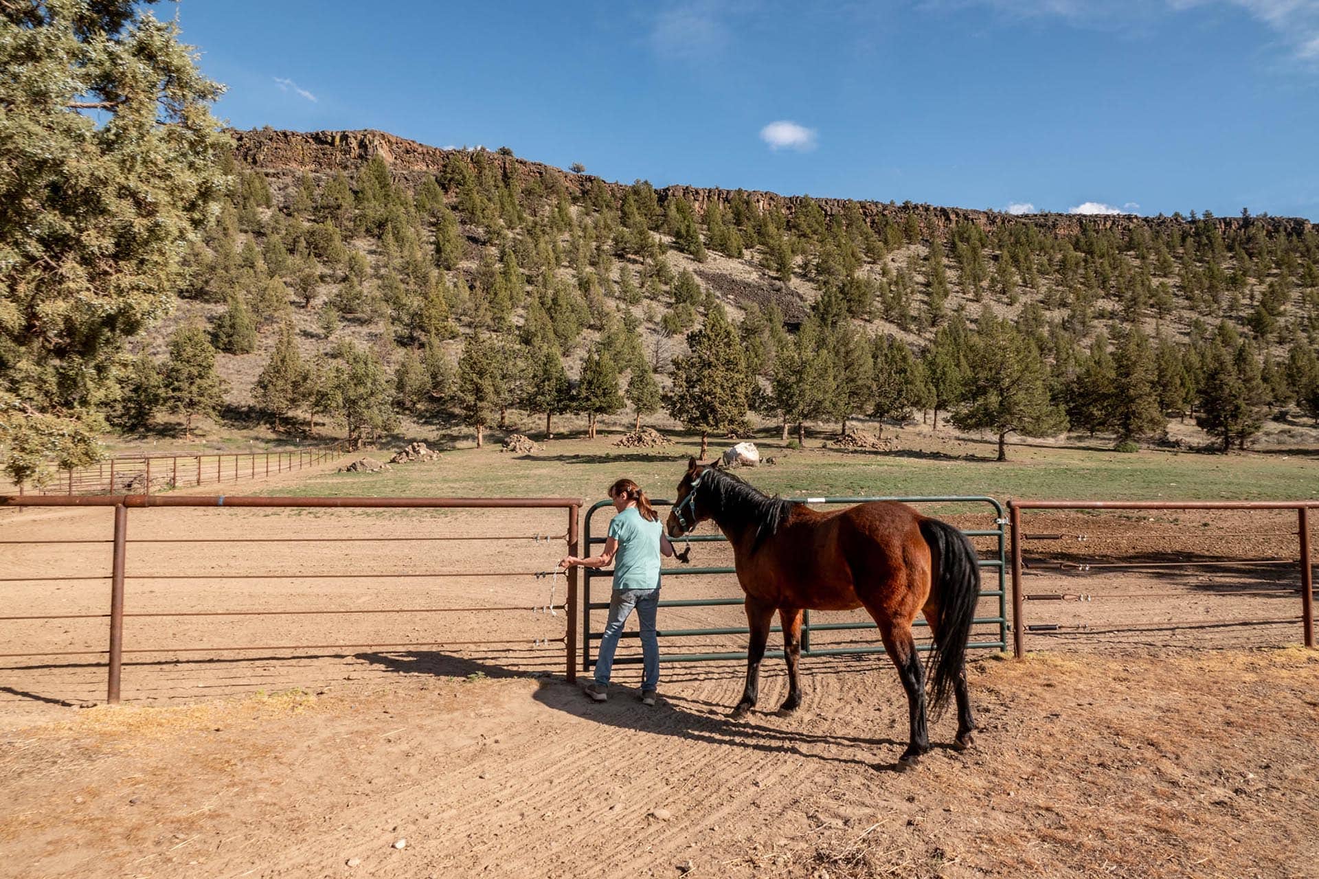 Horse fence oregon crooked river rim horse ranch