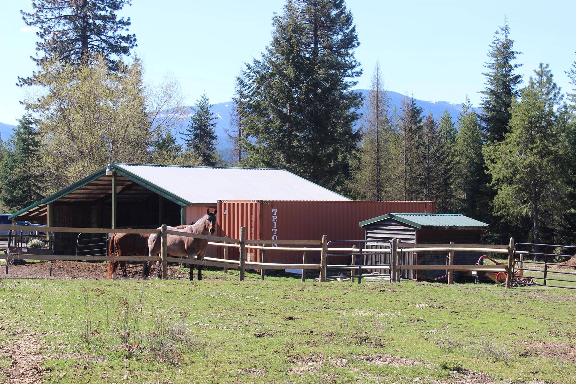 Horses in Corral Montana Cabinet Mountain Wilderness Retreat