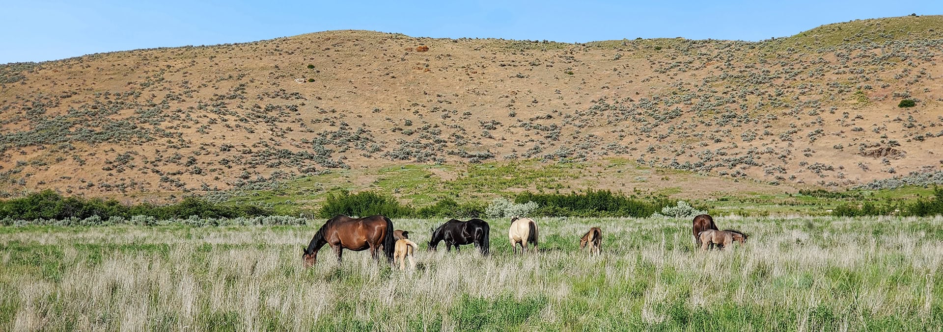 Idaho property for sale the davis lodge at loafer creek falls