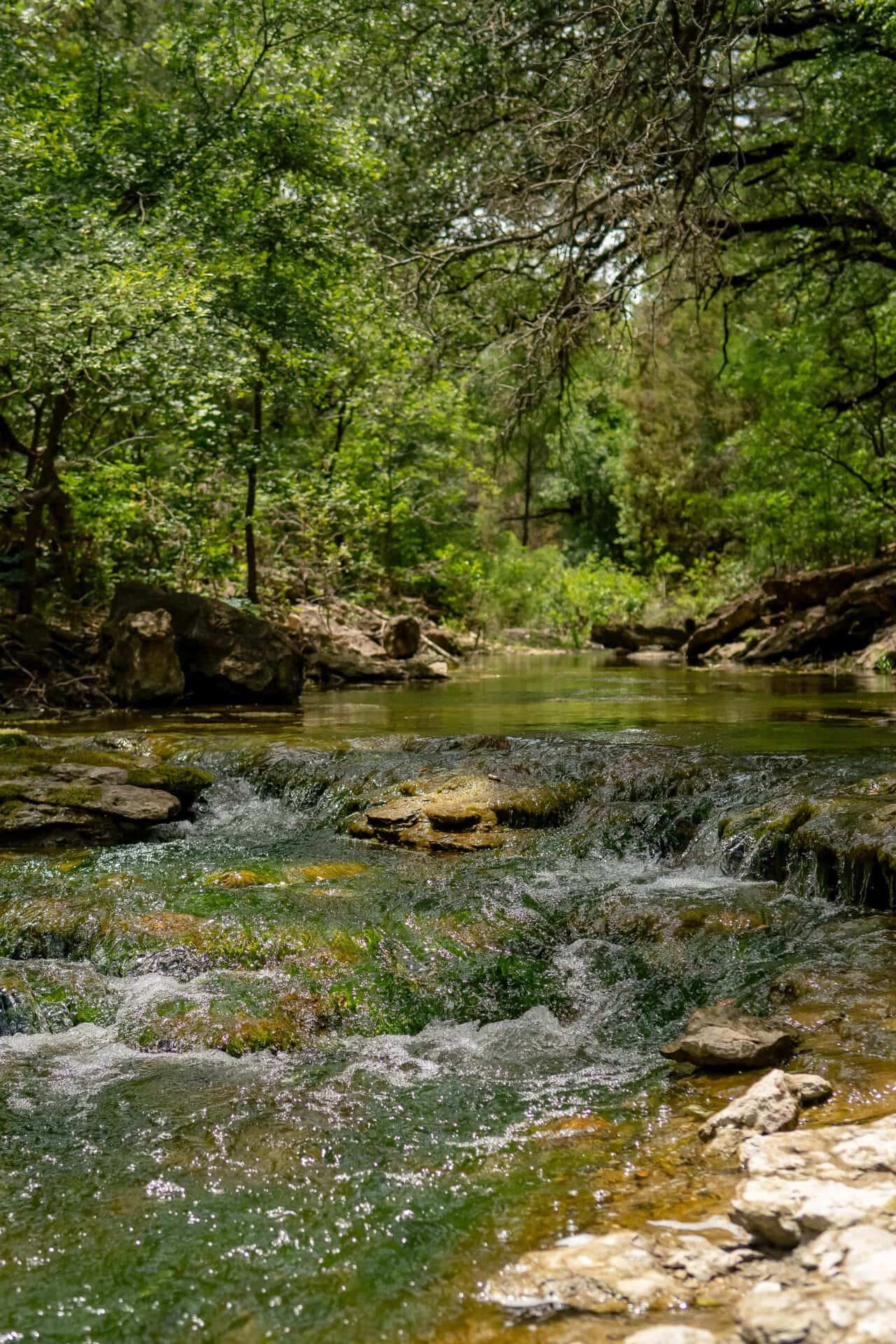 Investment ranch property in Texas Cotton Willow Ranch