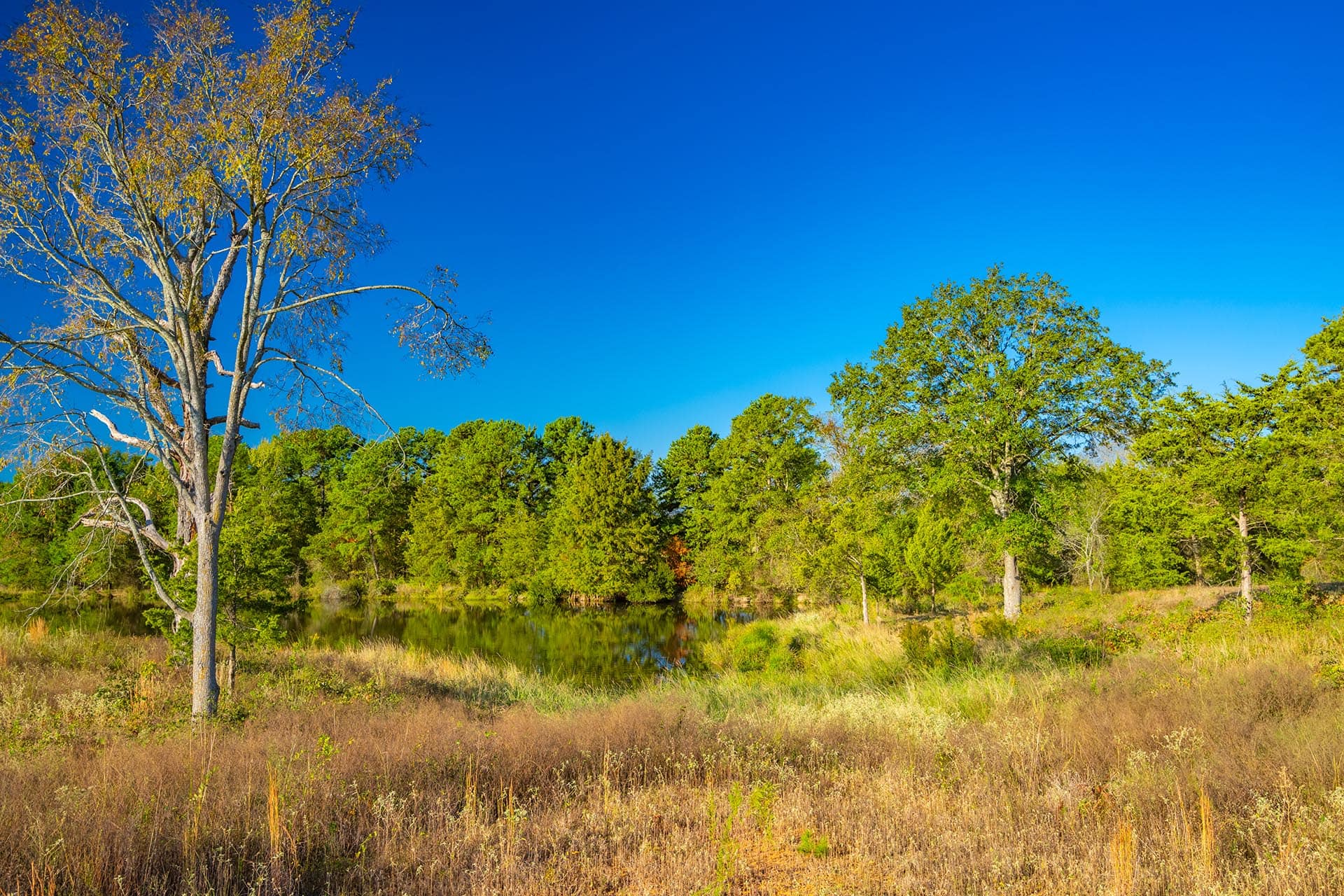 Lake Bob Sandlin Texas ranch property for recreation Red Barn Ranch