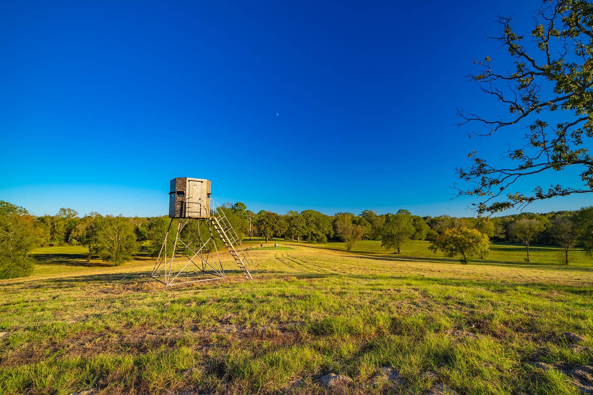 Lake Bob Sandlin ranch with scenic water views Texas Red Barn Ranch