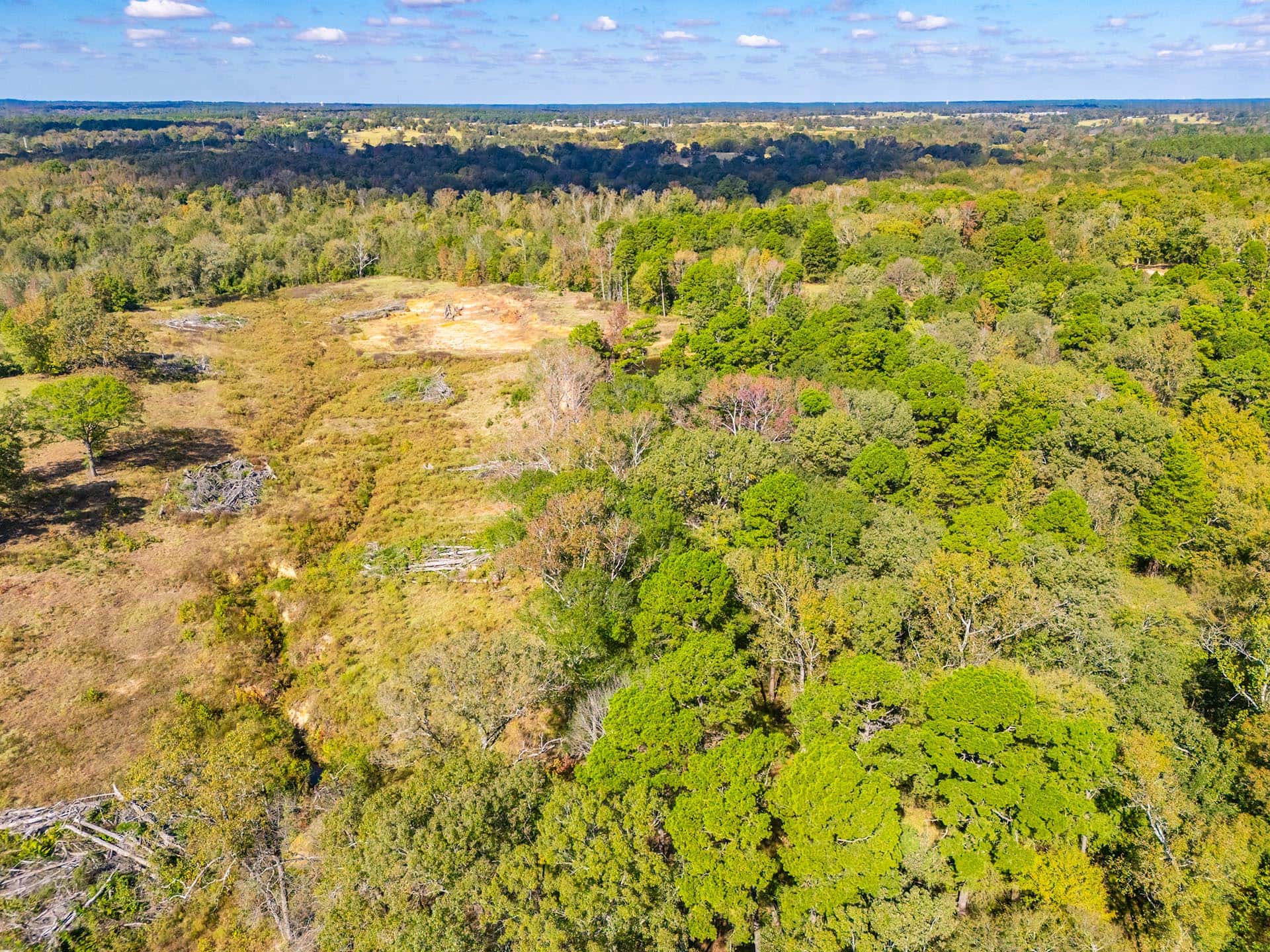 Lakefront ranch property East Texas Red Barn Ranch on Lake Bob Sandlin