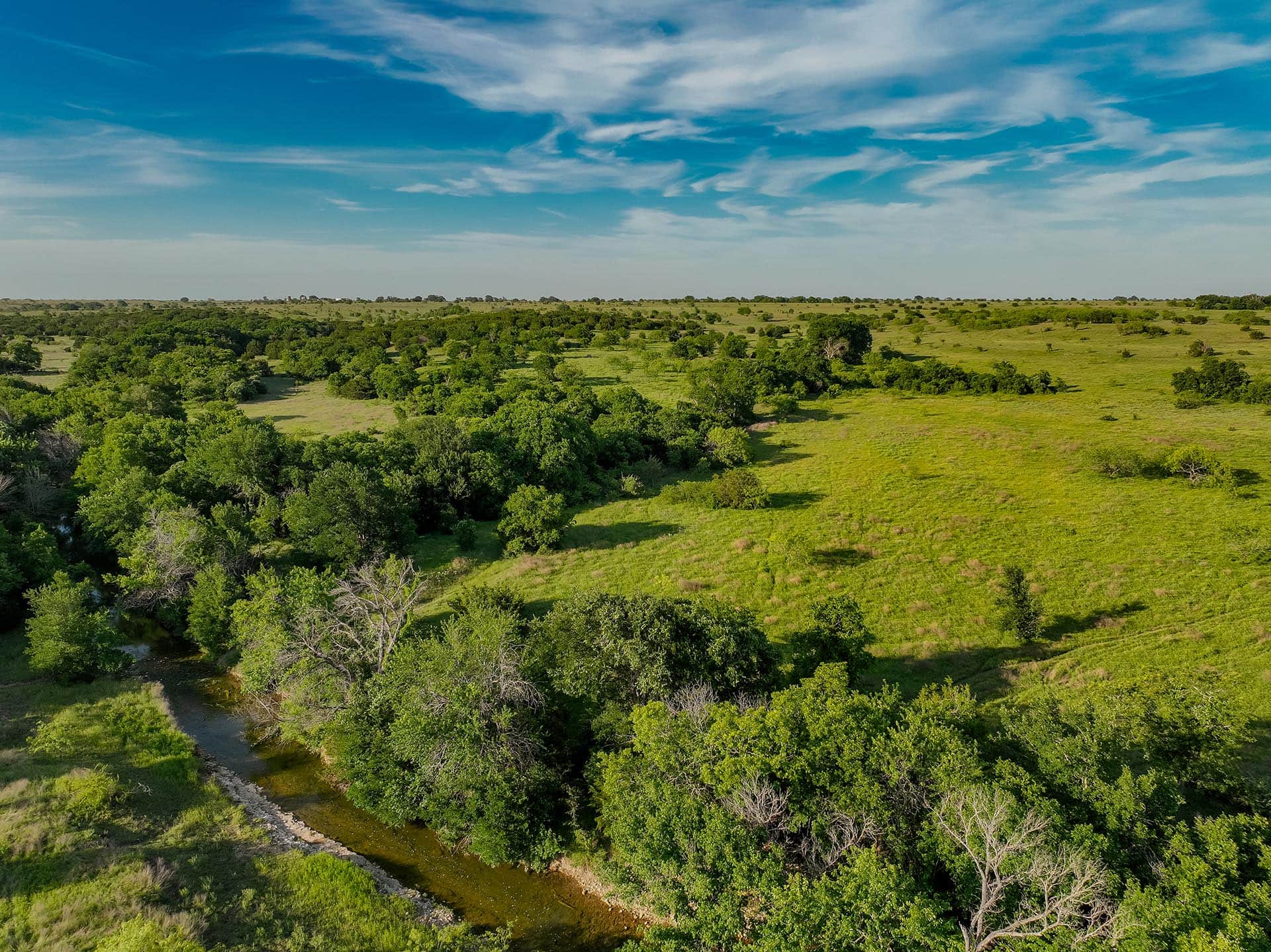 Large rural ranch acreage available in Texas Cotton Willow Ranch