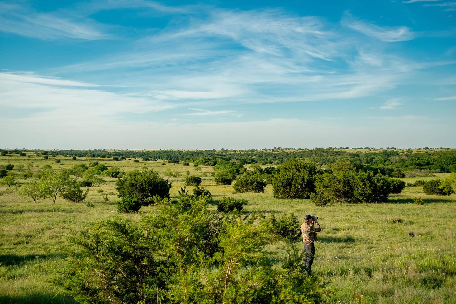 Legacy ranch for sale in Texas Cotton Willow Ranch