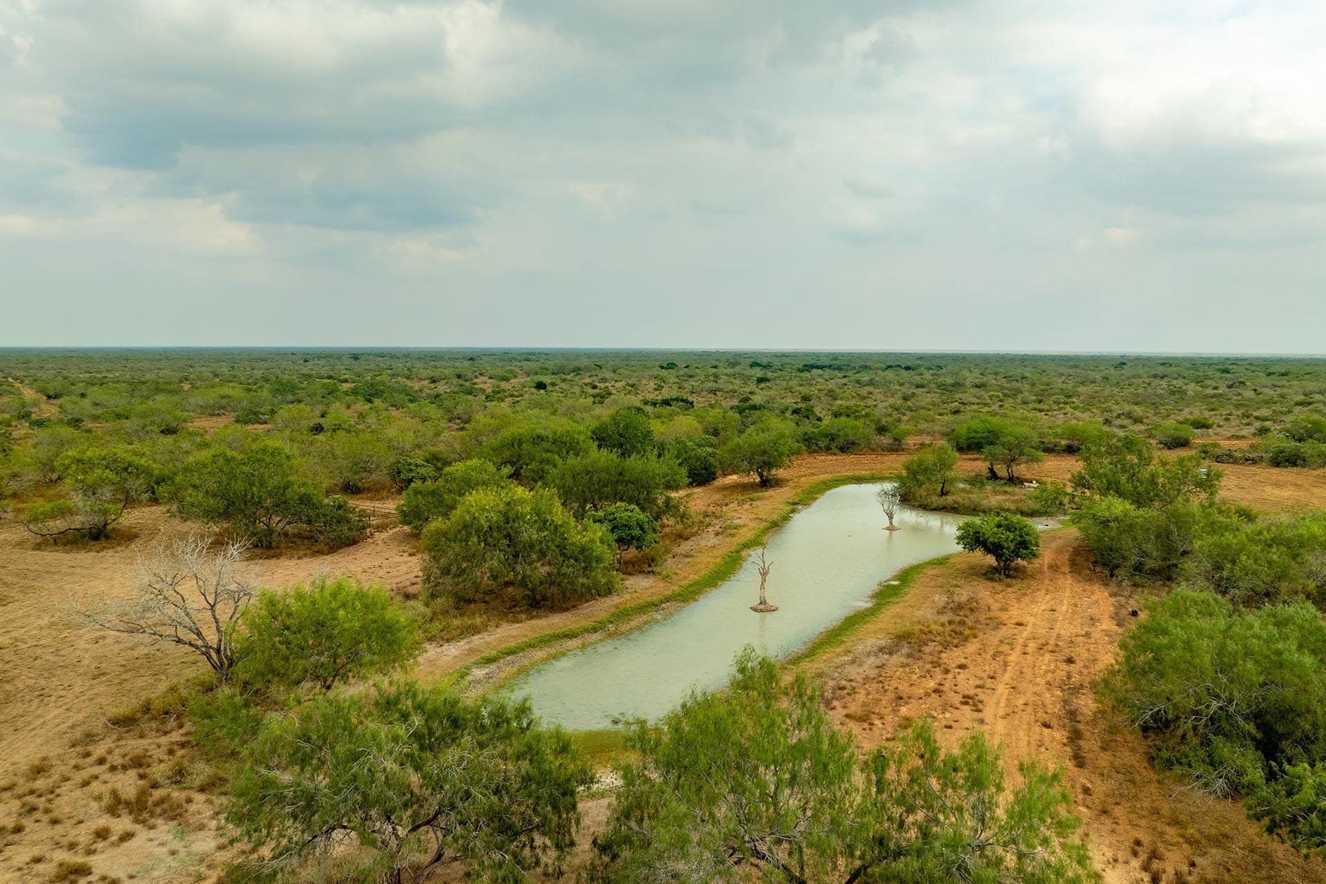 McCook Texas ranch with brush management El Monte Gringo Ranch