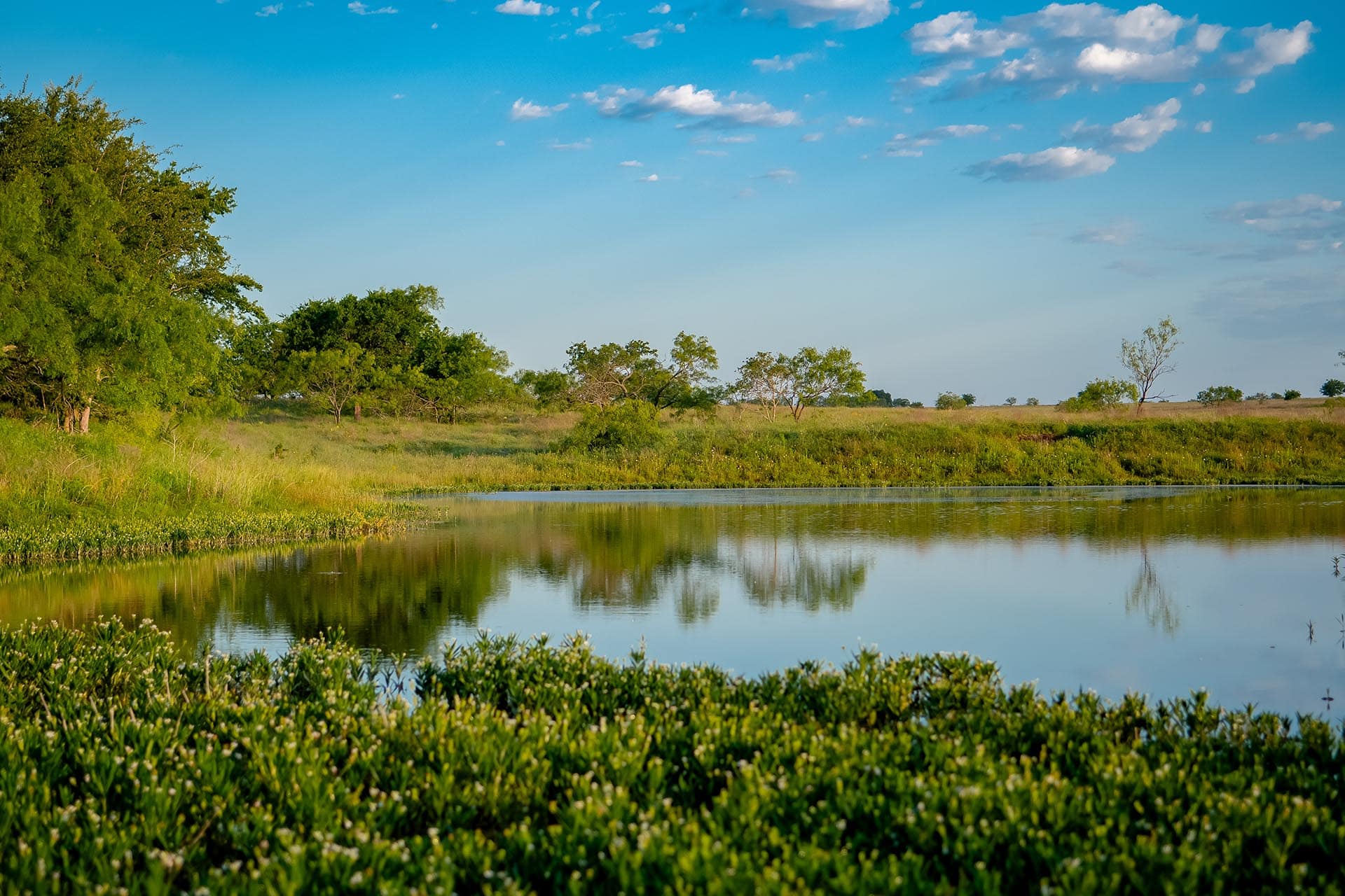 Multi-use ranch property in Texas Cotton Willow Ranch