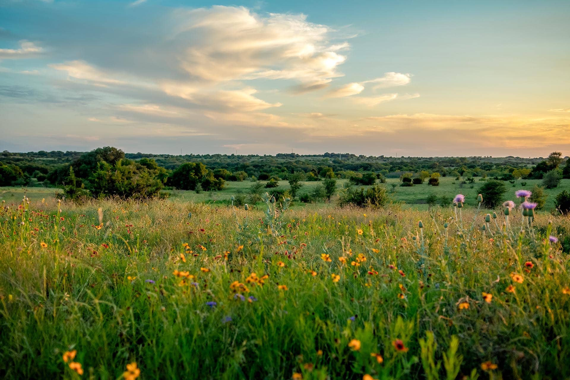 Native grassland ranch Texas Cotton Willow Ranch