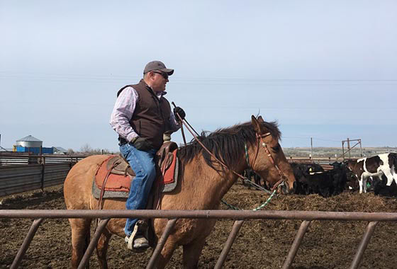 Oscar evans idaho ranch and land broker round up